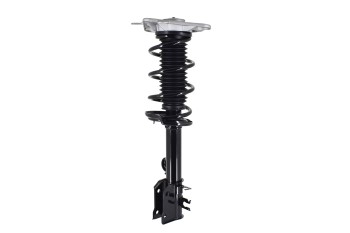 Suspension Strut and Coil Spring Assembly