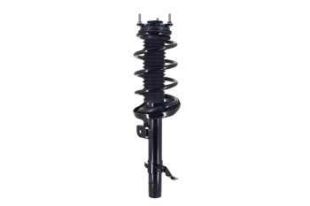 Suspension Strut and Coil Spring Assembly