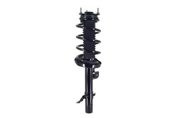 Suspension Strut and Coil Spring Assembly