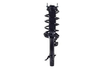 Suspension Strut and Coil Spring Assembly