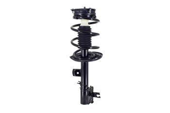Suspension Strut and Coil Spring Assembly