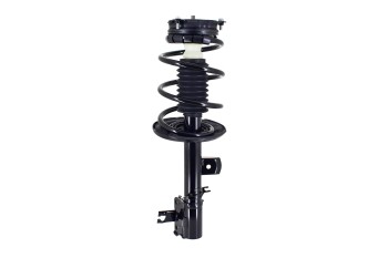 Suspension Strut and Coil Spring Assembly