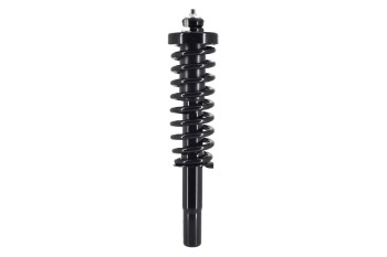 Suspension Strut and Coil Spring Assembly