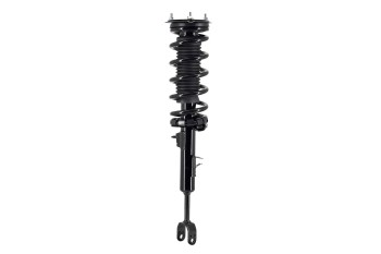 Suspension Strut and Coil Spring Assembly