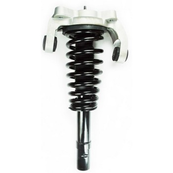 Suspension Strut and Coil Spring Assembly