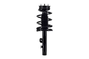 Suspension Strut and Coil Spring Assembly