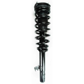 Suspension Strut and Coil Spring Assembly