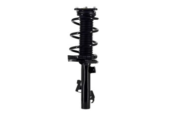 Suspension Strut and Coil Spring Assembly