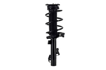 Suspension Strut and Coil Spring Assembly