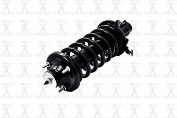 Suspension Strut and Coil Spring Assembly