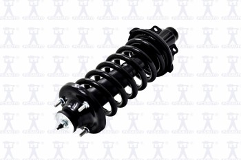 Suspension Strut and Coil Spring Assembly