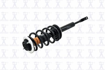Suspension Strut and Coil Spring Assembly