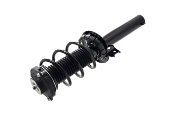 Suspension Strut and Coil Spring Assembly