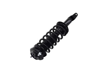 Suspension Strut and Coil Spring Assembly