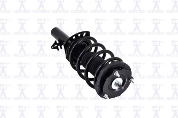 Suspension Strut and Coil Spring Assembly