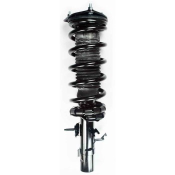 Suspension Strut and Coil Spring Assembly