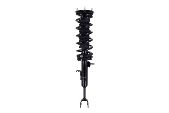 Suspension Strut and Coil Spring Assembly