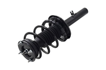 Suspension Strut and Coil Spring Assembly