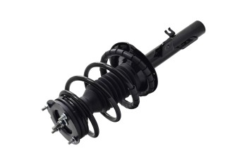 Suspension Strut and Coil Spring Assembly