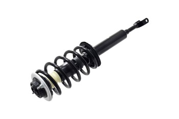 Suspension Strut and Coil Spring Assembly