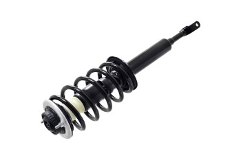 Suspension Strut and Coil Spring Assembly