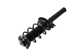 Suspension Strut and Coil Spring Assembly