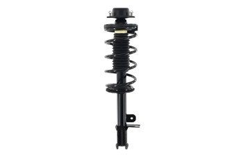 Suspension Strut and Coil Spring Assembly