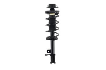 Suspension Strut and Coil Spring Assembly
