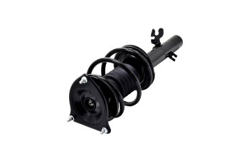 Suspension Strut and Coil Spring Assembly