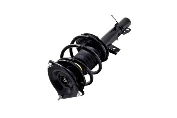 Suspension Strut and Coil Spring Assembly