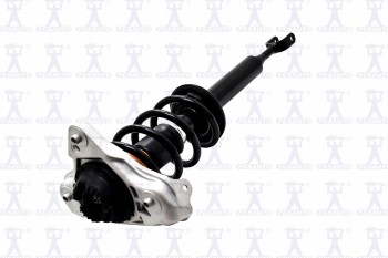 Suspension Strut and Coil Spring Assembly
