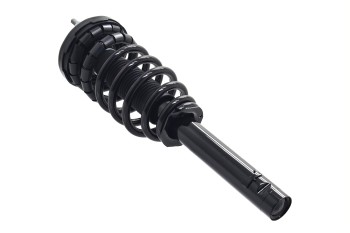 Suspension Strut and Coil Spring Assembly