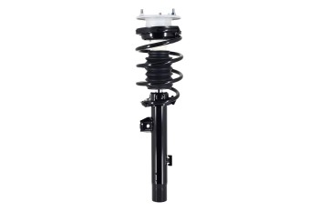 Suspension Strut and Coil Spring Assembly
