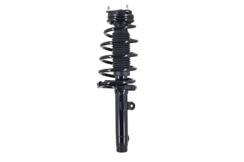 Suspension Strut and Coil Spring Assembly