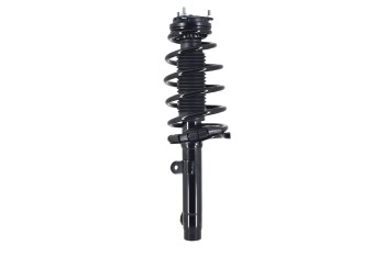 Suspension Strut and Coil Spring Assembly