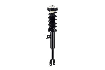 Suspension Strut and Coil Spring Assembly