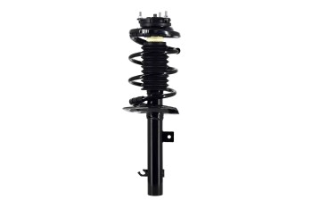 Suspension Strut and Coil Spring Assembly