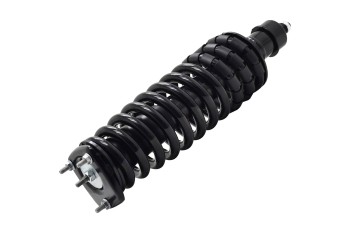 Suspension Strut and Coil Spring Assembly