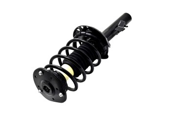 Suspension Strut and Coil Spring Assembly
