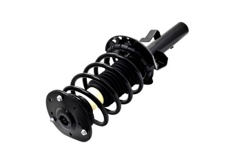 Suspension Strut and Coil Spring Assembly