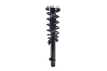 Suspension Strut and Coil Spring Assembly