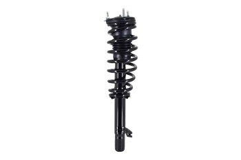 Suspension Strut and Coil Spring Assembly