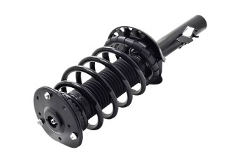 Suspension Strut and Coil Spring Assembly