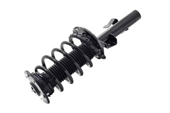 Suspension Strut and Coil Spring Assembly