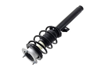 Suspension Strut and Coil Spring Assembly