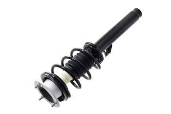 Suspension Strut and Coil Spring Assembly