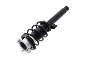 Suspension Strut and Coil Spring Assembly