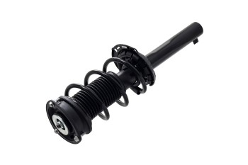 Suspension Strut and Coil Spring Assembly
