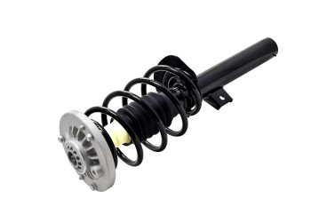 Suspension Strut and Coil Spring Assembly