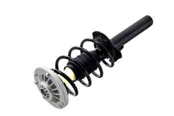 Suspension Strut and Coil Spring Assembly